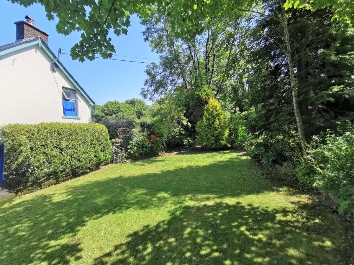Wellstone Cottages - Jasmine Llanfyrnach Экстерьер фото